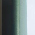 FFG 3